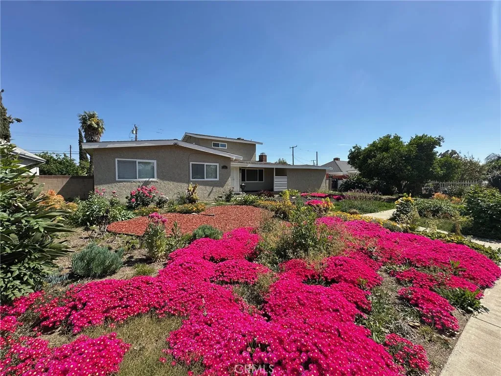 photo taken last Summer- drought tolerance plants for stunning flowers