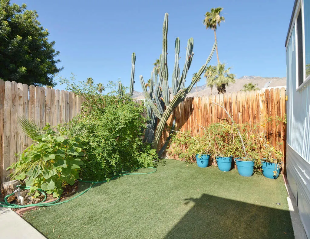 Front Yard 2