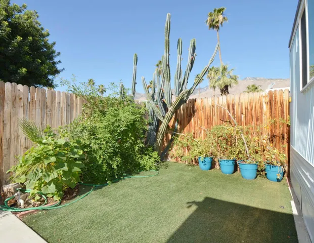 Front Yard 2