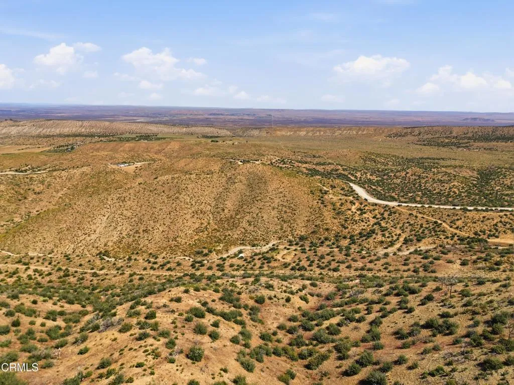 DJI_0872