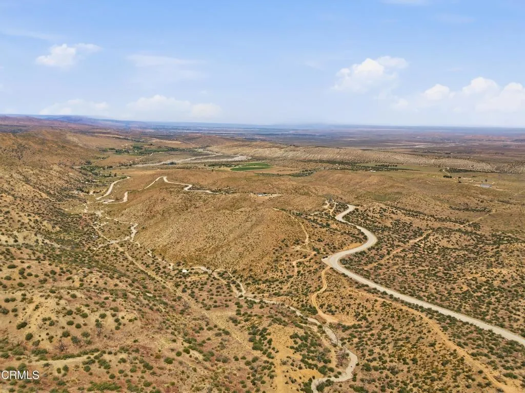 DJI_0878