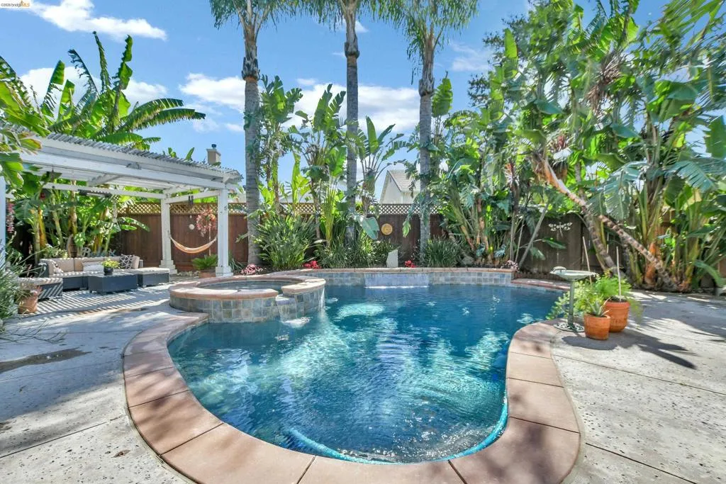 Outdoor entertaining space featuring a freeform swimming pool with a raised spa and waterfall