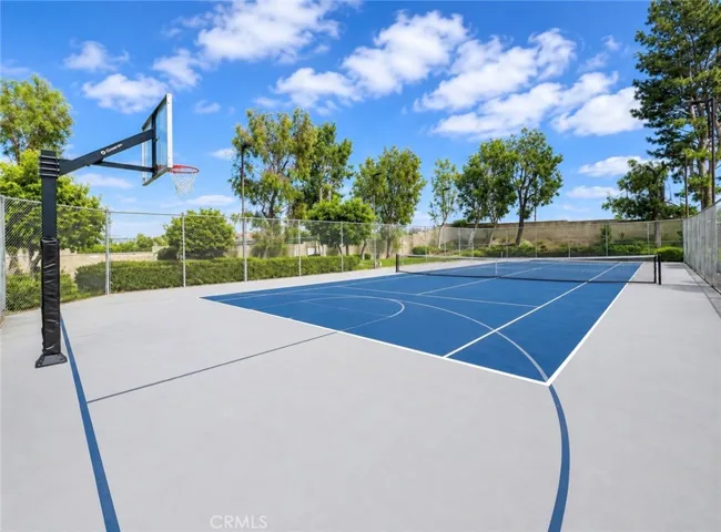 BASKETBALL COURT