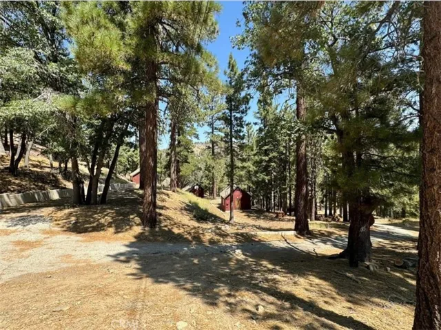 5420 Shirley, Wrightwood, California 92397