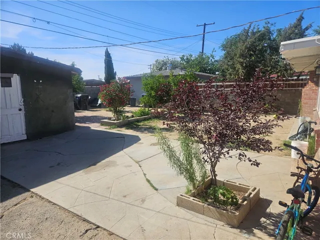 backyard 2
