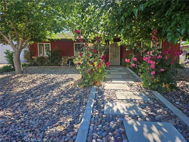 front yard 1
