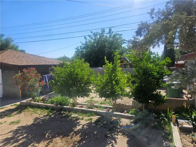 backyard 7
