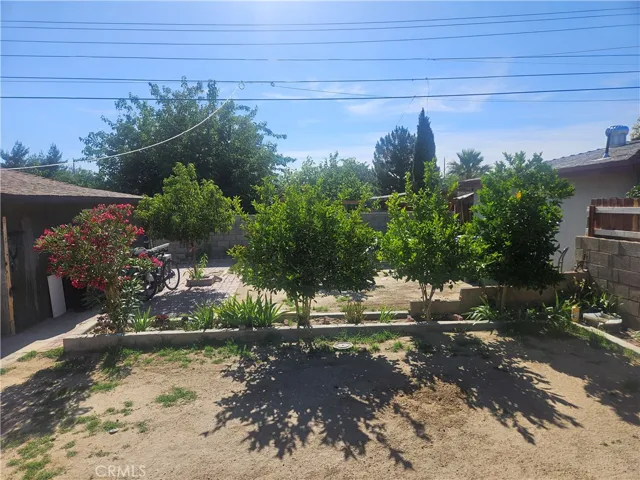 backyard 6