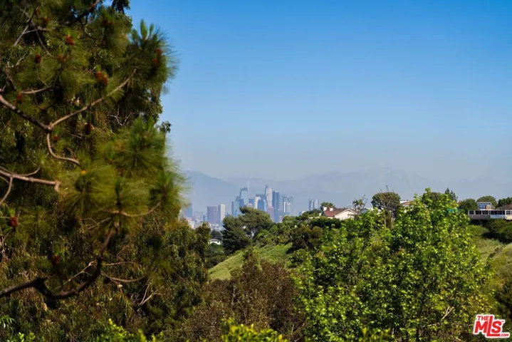 partial city views