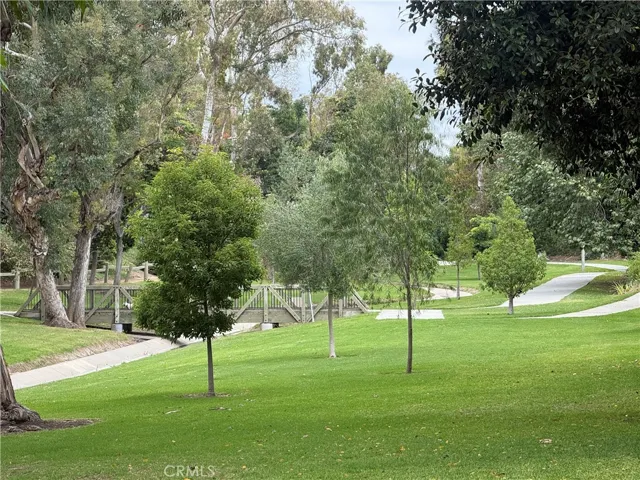 La Mirada Creek