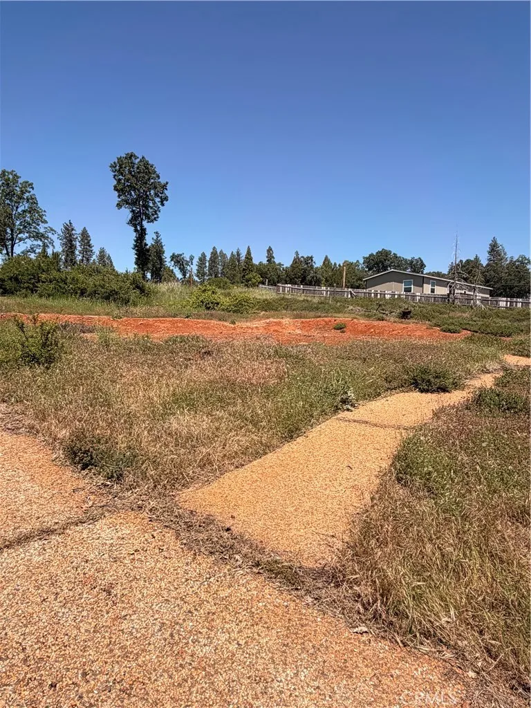 Existing driveway and walway of previous home
