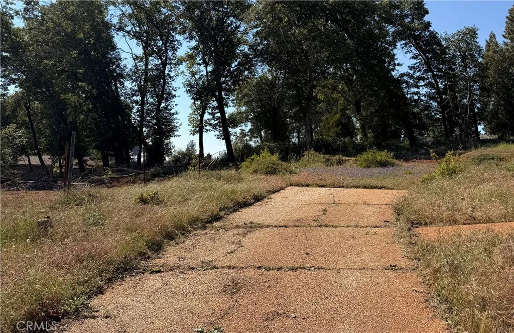 Driveway, looking up from street