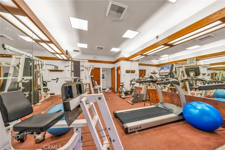 Exercise gym