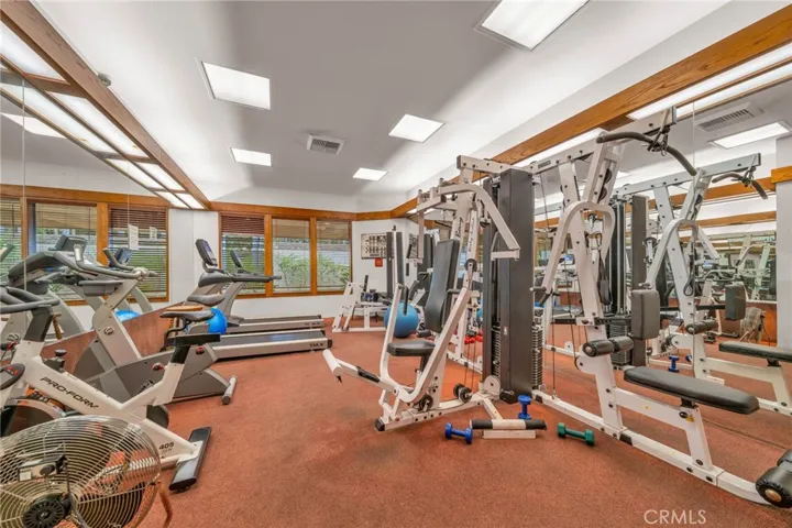 Exercise gym