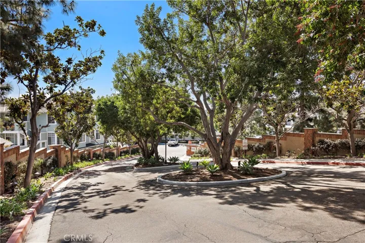 Tree lined entrance