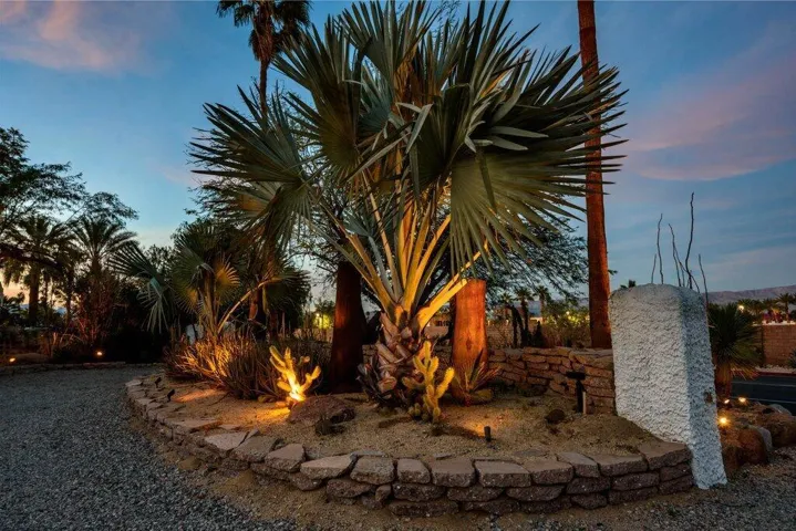 SA - 54.jpg-entry palm tree-twilight
