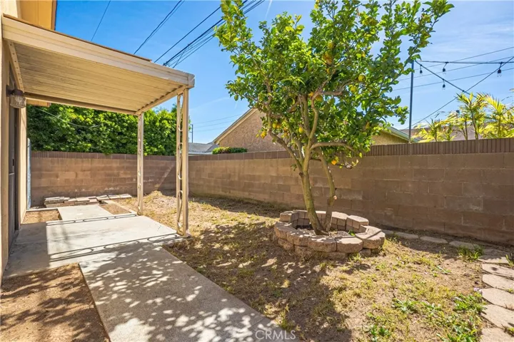 back yard