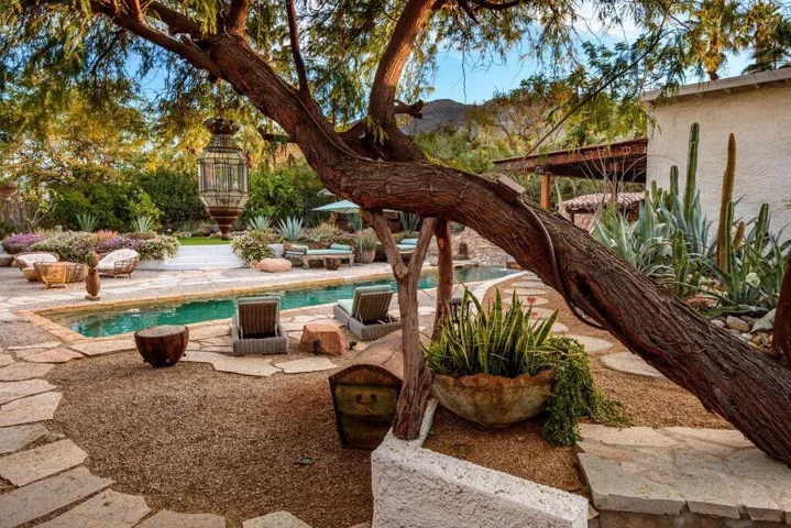 SA - 26.jpg-pool - manzanita tree