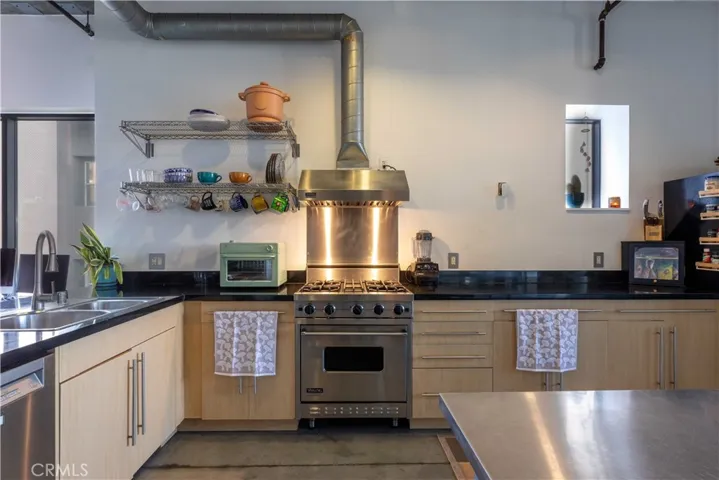 Kitchen with Viking range, Bosch dishwasher