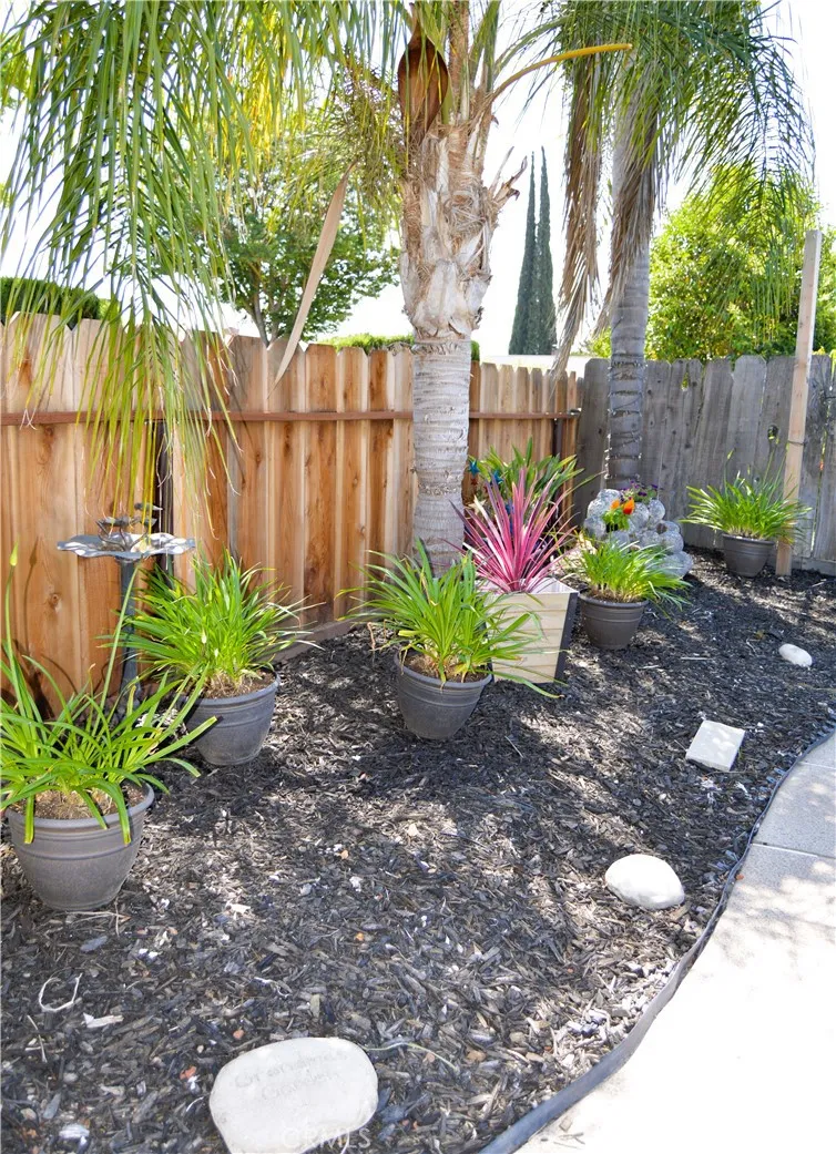 Easy maintainable landscaping around the pool