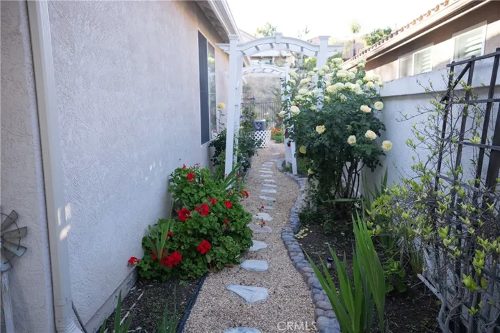 Side Yard