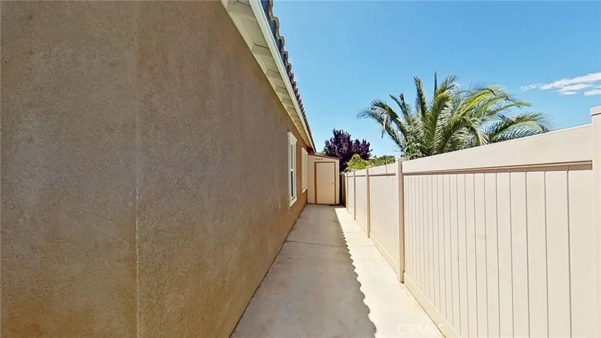 Left Side yard