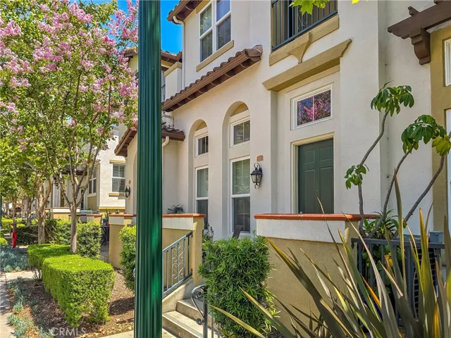 Daylight neighborhood view
