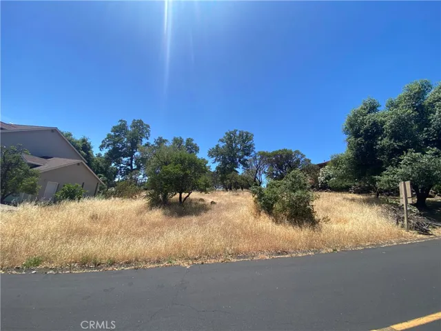 View from the back of lot toward the street.