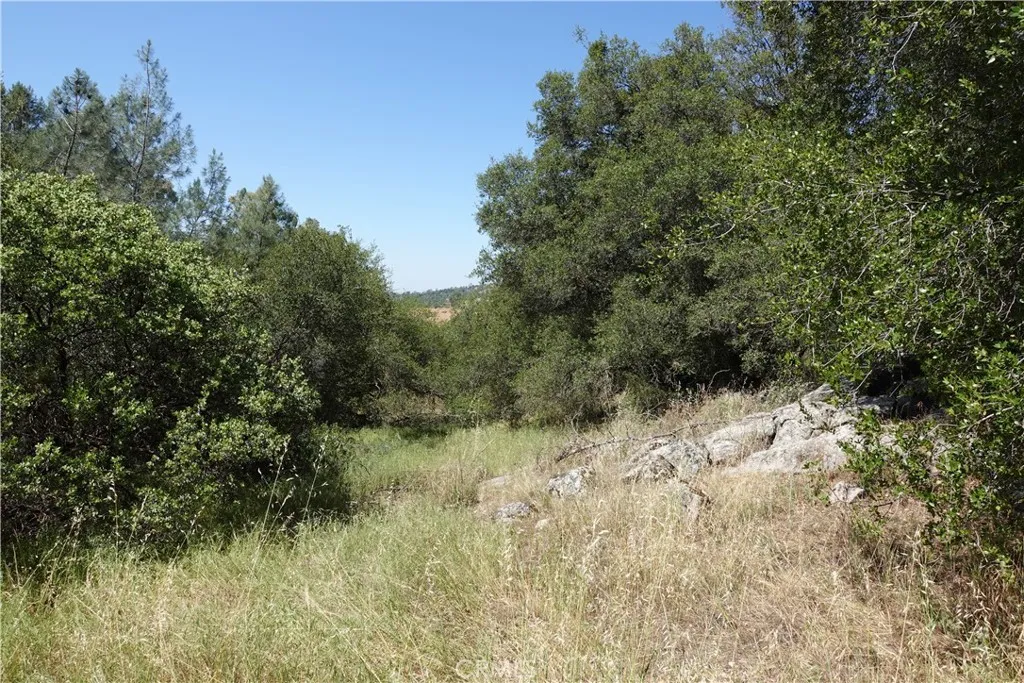 Lot 528