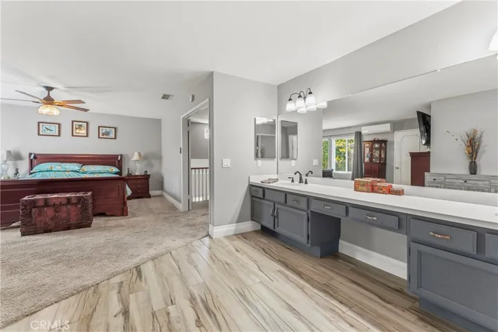 Primary Bedroom and Vanity