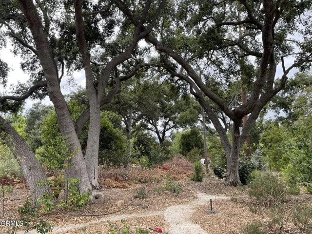 Shared Outdoor Space