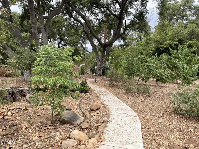 Shared Outdoor Space
