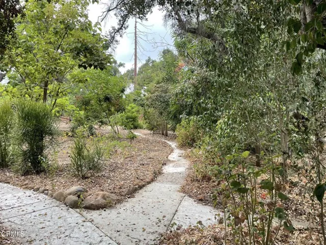 Shared Outdoor Space