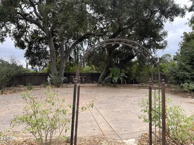 Shared Outdoor Space
