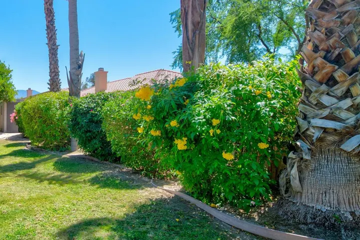 43555 Morning Star Ct MLS-35
