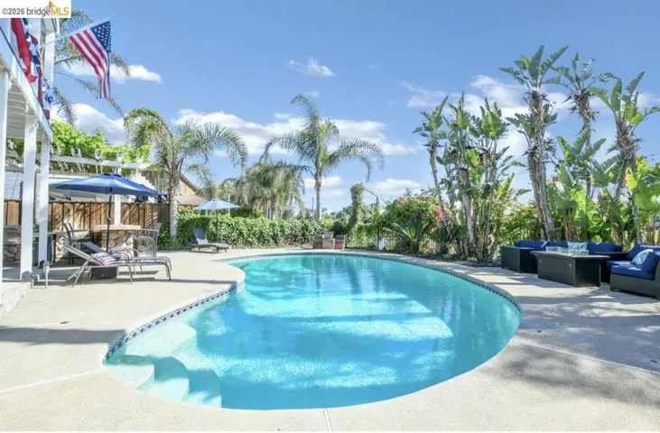 Freeform swimming pool with integrated steps, surrounded by a concrete deck, mature palm trees, and tropical landscaping