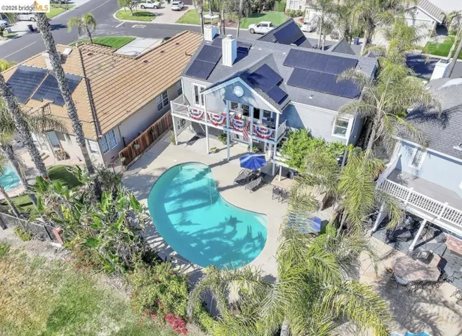 Spacious backyard featuring a kidney-shaped swimming pool, surrounding concrete patio, mature palm trees, and established landscaping