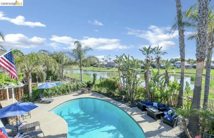 Resort-style backyard featuring a curved swimming pool with concrete decking, mature palm trees, lush landscaping, and waterfront access