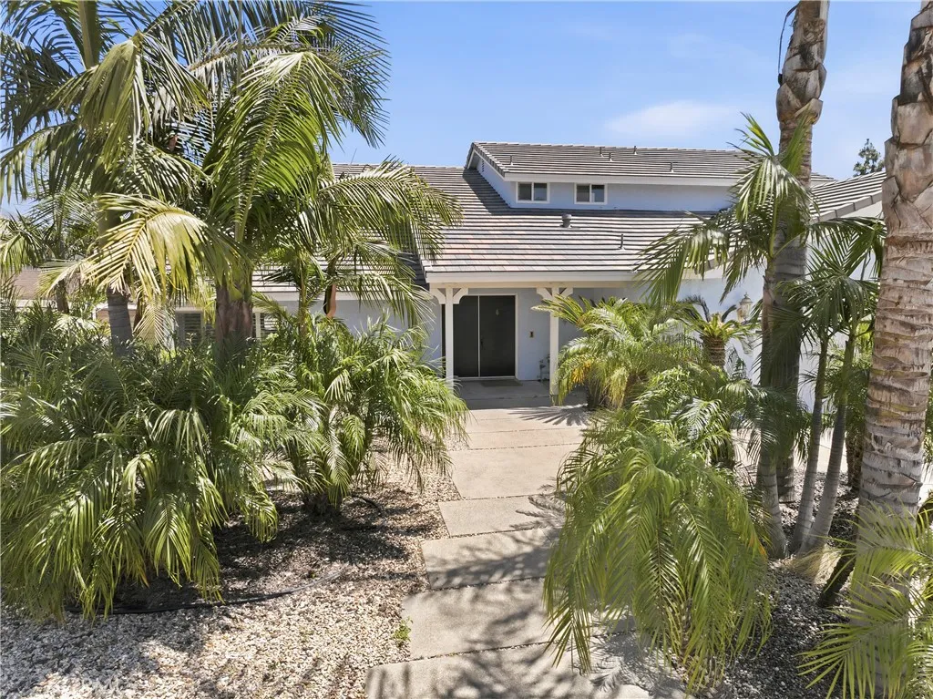 Entry - Palm Oasis
