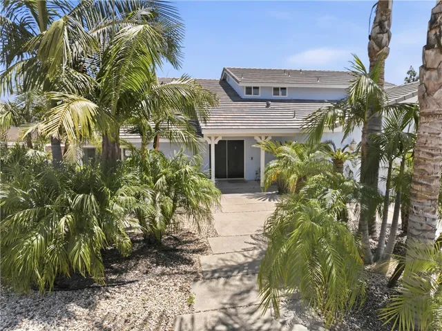 Entry - Palm Oasis
