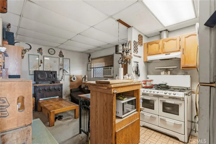 Garage ADU