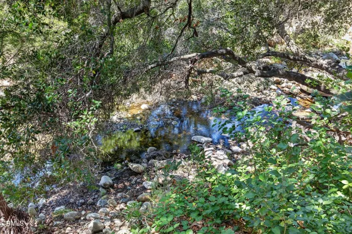 72-web-or-mls-Upmarketmedia_883Mor-226
