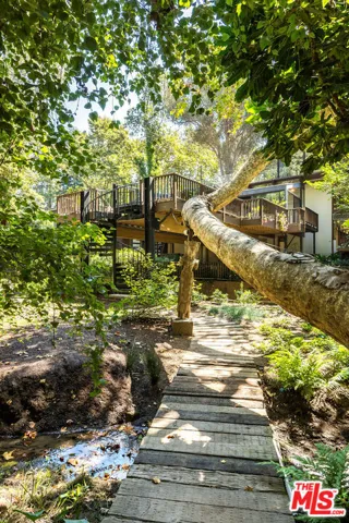 Pathway Through Nature
