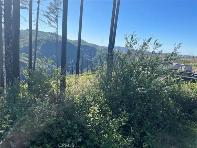 1954 Dean, Paradise, California 95969