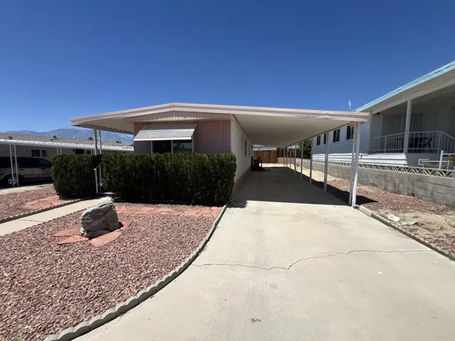 IMG_4443 (1)