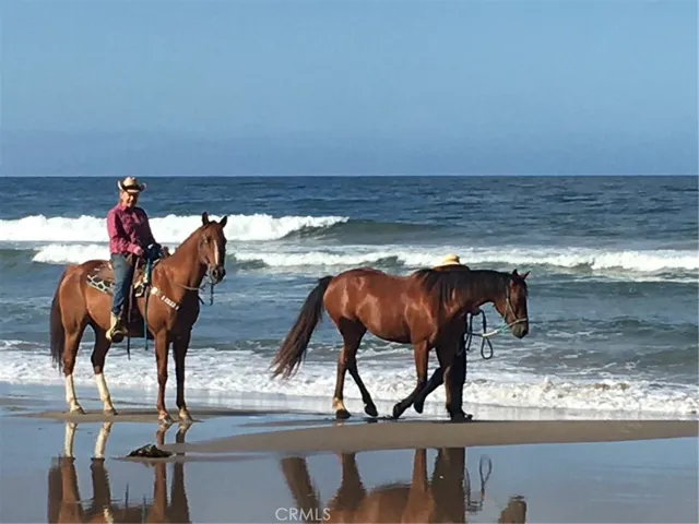 Horses on Rincon Beach!
