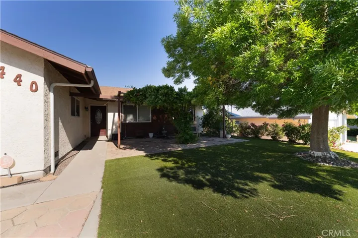 Front Yard