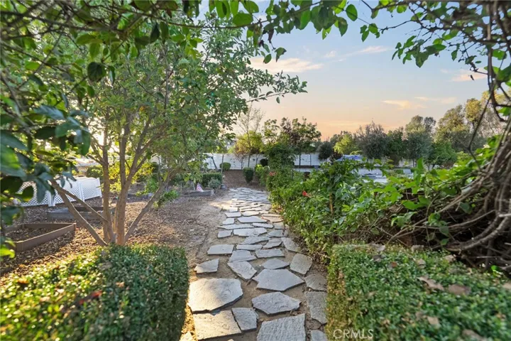 walkway backyard