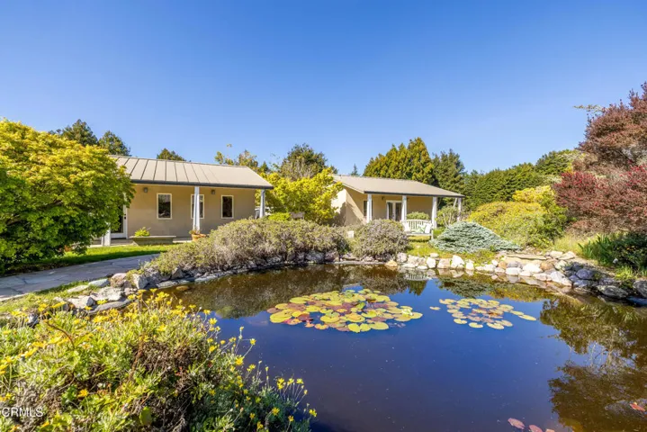 Courtyard Pond