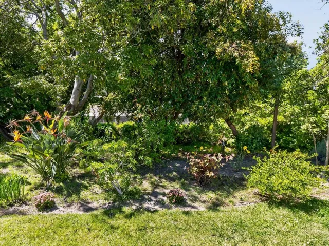 Berkeley Way, Santa Cruz, California 95062